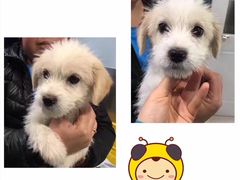 -骐奇宠物诊疗中心(南亭公路店)