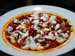 美蛙美鱼-青花椒花椒鱼(合生汇店)