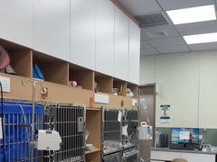 -爱佳宠物中心医院24H·CT·骨外科·猫专科(瑶海万达店)