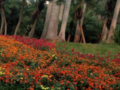 -人民公园(罗湖区)