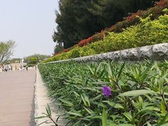 -宝安西湾红树林湿地公园