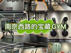 -健身专家Wellness Experts