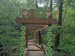 -大岭沟猕猴桃谷风景区