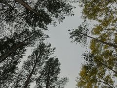 -茅兰沟国家森林公园
