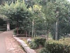 -雨花胜境