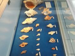 -海军上海博览馆