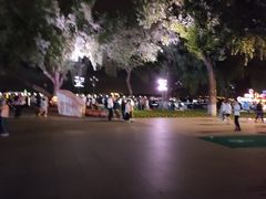 -人民防洪胜利纪念塔