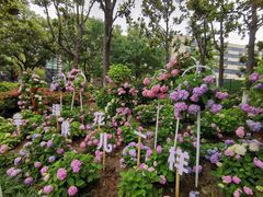 -常州古运河南大街文化旅游区-人民公园