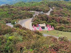 -贵州百里杜鹃风景名胜区