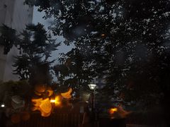 -长药唐师乐山油炸(石人直营店)