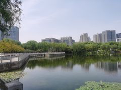 -后襄河公园