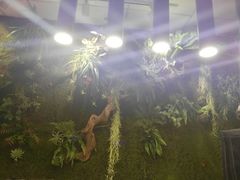 店内环境-A+匠心DIY手工坊·首饰·微景观