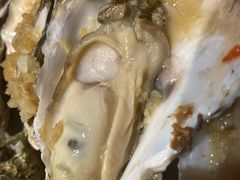 -千岛蚝高压锅生蚝·人参火锅(白云万达店)