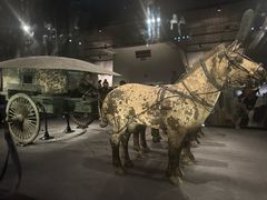 -秦始皇帝陵博物院-丽山园