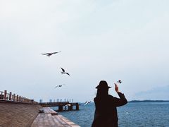 -琴岛之星摩天轮