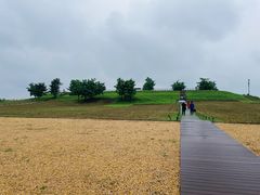 -汉长安城未央宫国家考古遗址公园