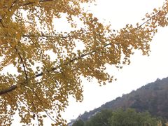 -长兴八都岕景区