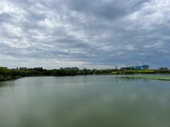 -大兴滨河森林公园