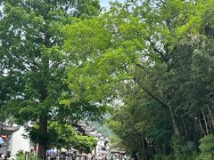 -绩溪龙川景区