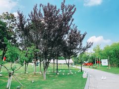 -东台西溪天仙缘景区