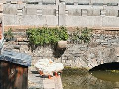 -苏州文庙(姑苏区)