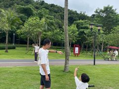 -野狸岛