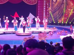 -珠海横琴长隆《卡卡虎奇遇记》