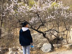 -碓臼峪自然风景区