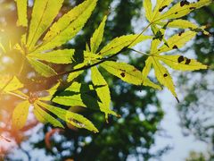 -狼山风景名胜区