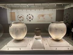 -陕西自然博物馆