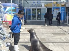 -烟台海昌鲸鲨海洋公园