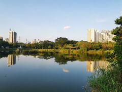 -福田红树林生态公园
