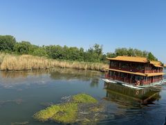 -微山湖红荷湿地景区