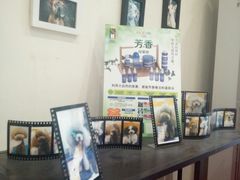 -宠物家(双井店)