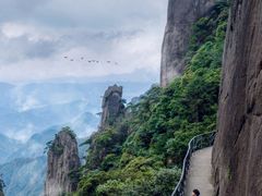 -三清山风景名胜区