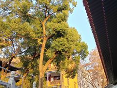 -宝通禅寺