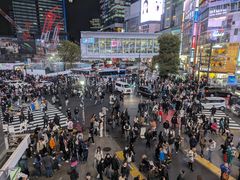 -涩谷全向十字路口