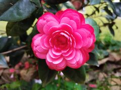 -八景休閒山莊  廣東十大名山莊