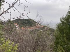 -北京十三陵国家森林公园蟒山景区