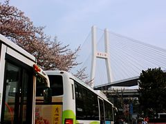 -上海南浦大桥长途旅游客运站