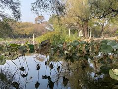 -北陵公园