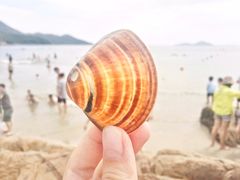 -南丫岛