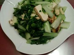 -诚明农家乐