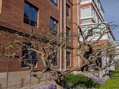 -北京市海淀外国语实验学校