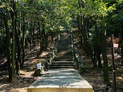 -阳台山森林公园