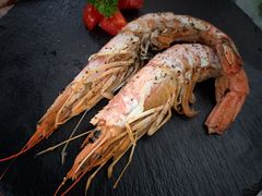 -真剑日本料理·铁板烧(贵州路店)