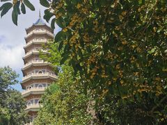 -灵谷景区