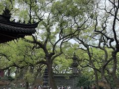 -普陀山风景名胜区-法雨禅寺