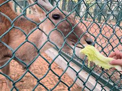 -秦皇岛野生动物园