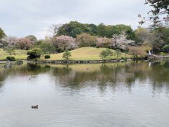 -水前寺成趣园